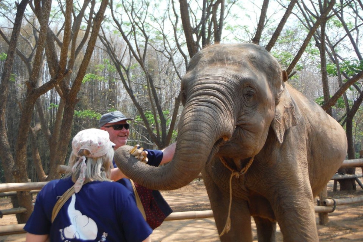 Baan Chang Elephant Park 2