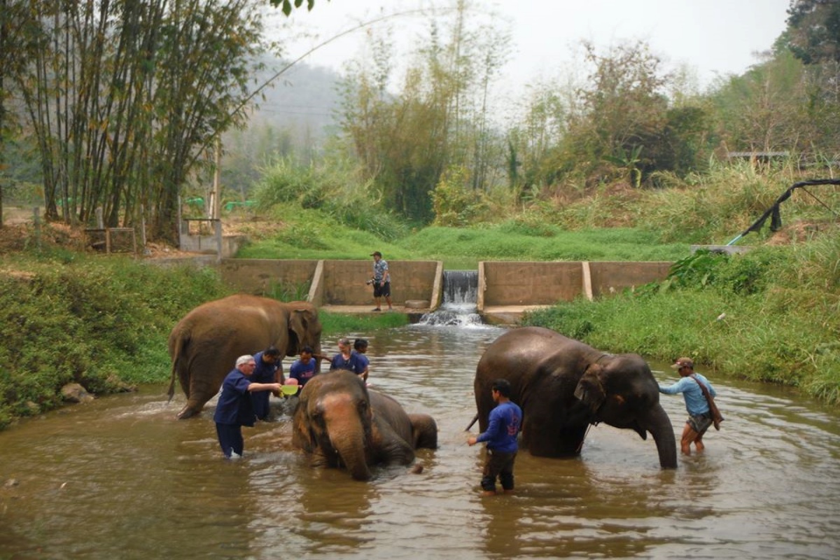Baan Chang Elephant Park 3