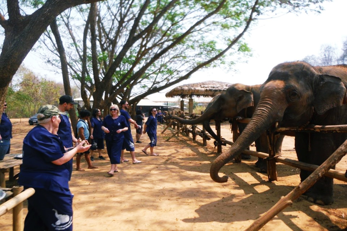 Baan Chang Elephant Park 9