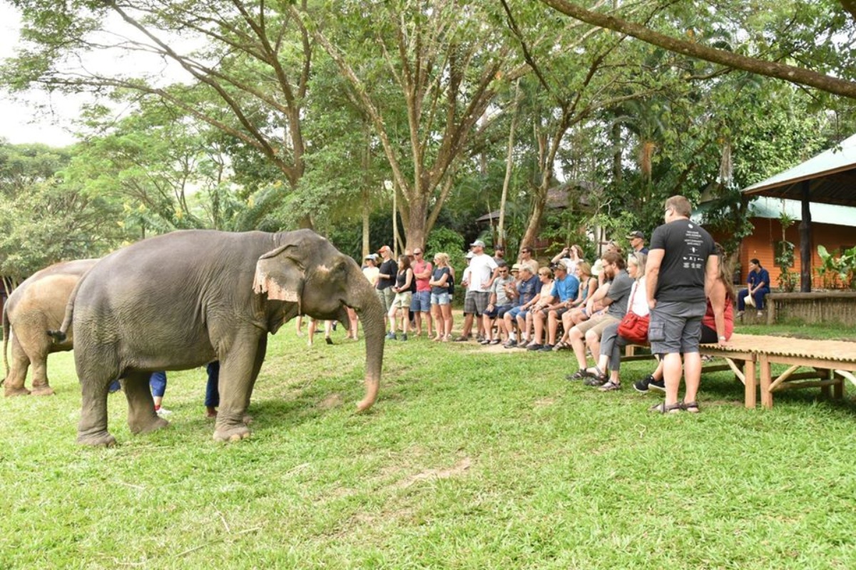 Mae Sa Elephant Camp 8